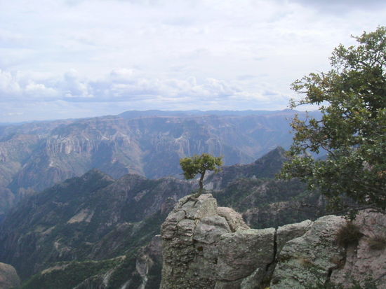 Blick in die Schluchten