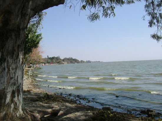 In Ajicic am Lago de Chapala