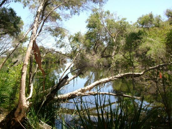 Lake Wagardu - Loch McNess