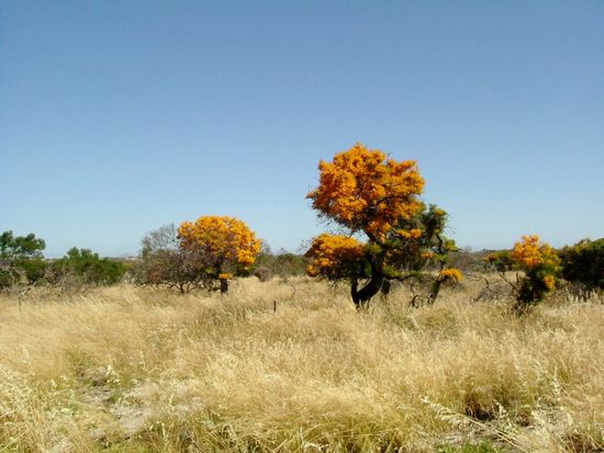 Auf dem Weg zum Cape Le Grand Nationalpark