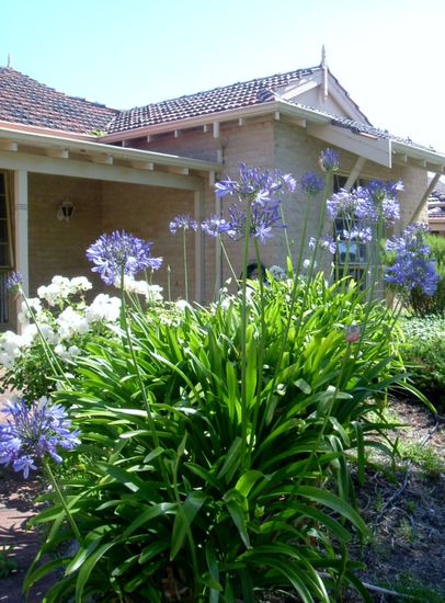 Dieses Haus hatten wir gemietet