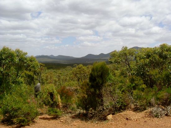 Drive Rang im Nationalpark