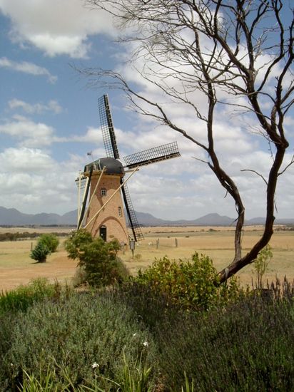 The Lily Dutch Windmill