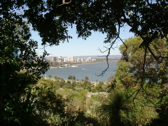 Blick vom Kings Park
