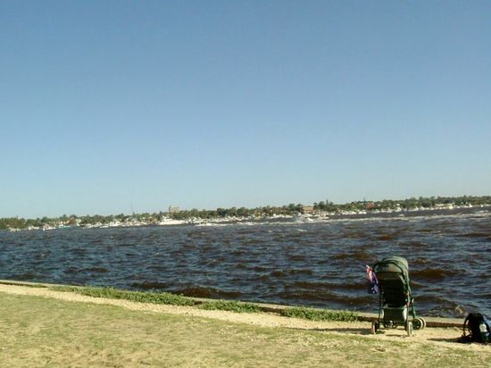 Fahnen werden "überall" angebracht...