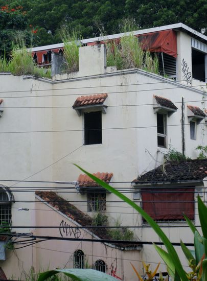 Die Natur schlägt zurück...