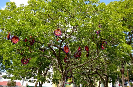 Künstliche Blumen....