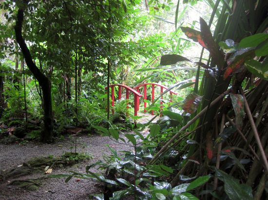 Im Botanischen Garten