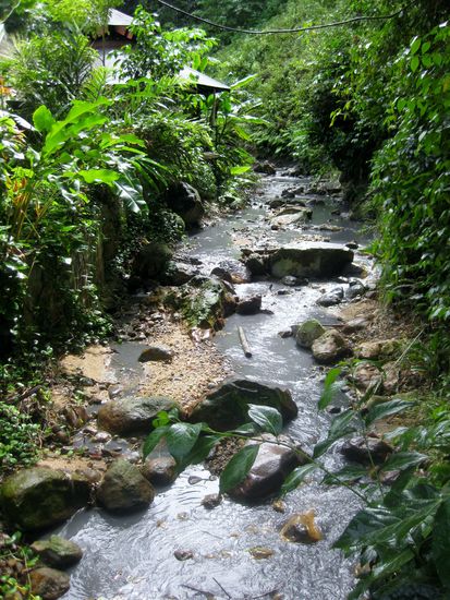Im Botanischen Garten
