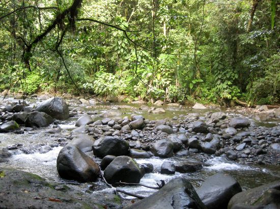 Bei den Cascades d'Ecrevisses