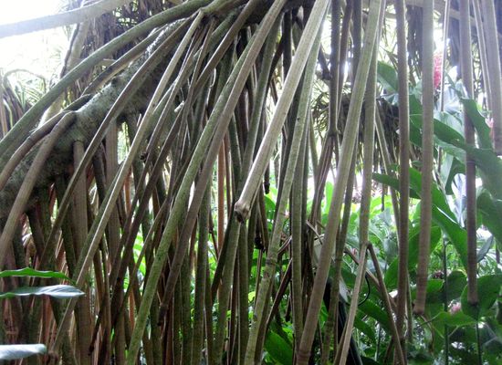 Domaine de Valombreuse