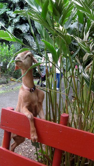 Domaine de Valombreuse