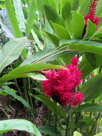 Domaine de Valombreuse