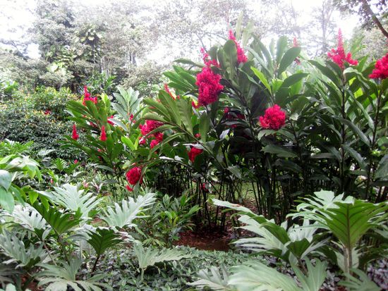 Domaine de Valombreuse