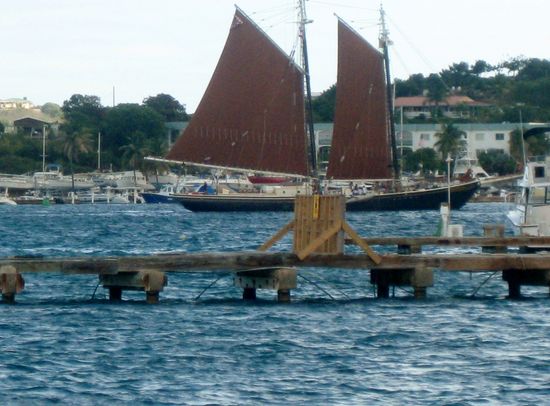 Die Piraten kommen...