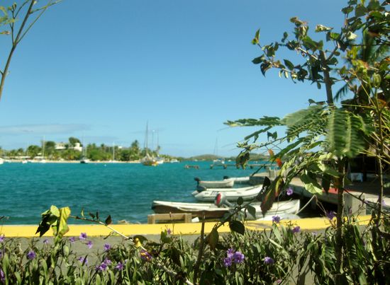 Blick auf Protestant Cay