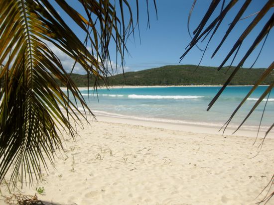 Die Palmen bieten nicht allzu viel Schatten...