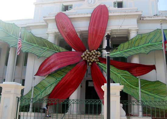 Gesehen bei der Stadtrundfahrt