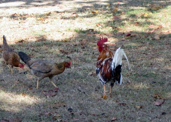 Besucher im Beach Park