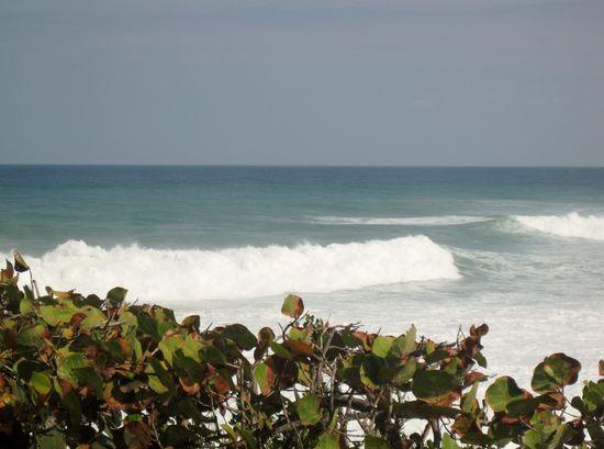 Die perfekte Welle...