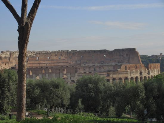Blick auf Colosseum vom Palatino
