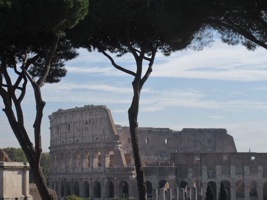Blick auf Colsseum vom Forum Romanum
