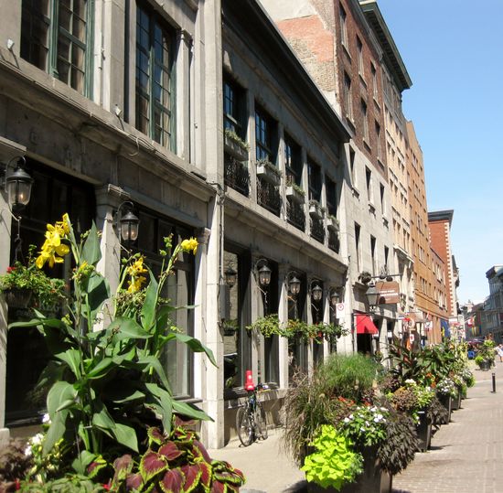 Gasse mit Blumen