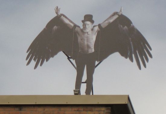 Frei wie ein Vogel...