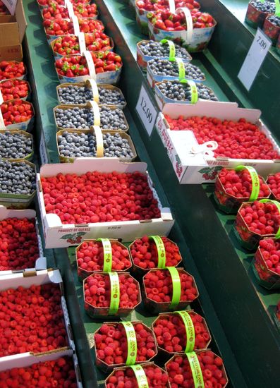 Beeren in Hülle und Fülle