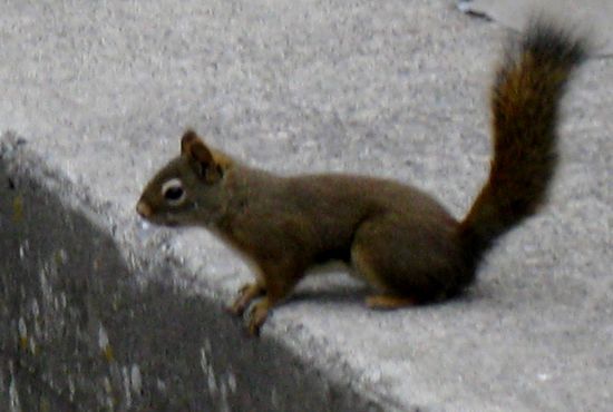 Ich wohne auch in Banff