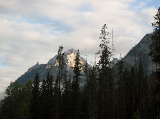 Am Bow River Parkway