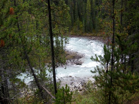 Sunwapta River
