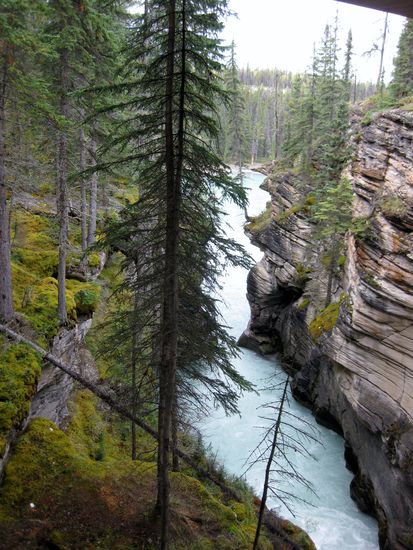 Athabasca River