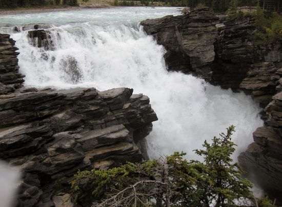 Athabasca Falls
