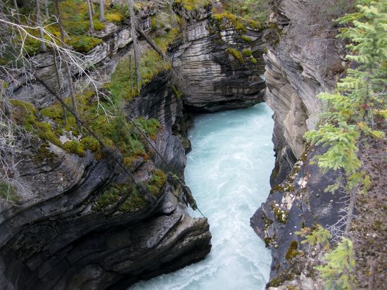 Athabasca Falls