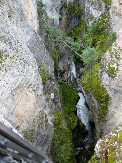 Maligne Canyon