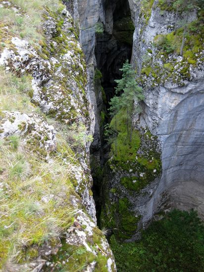 Maligne Canyon