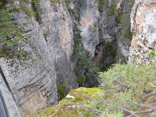 Maligne Canyon