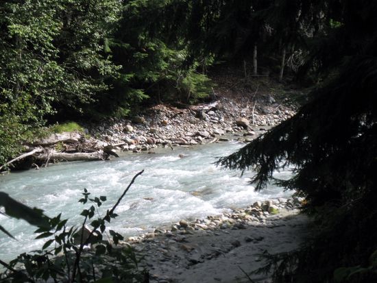 Blackcomb Creek