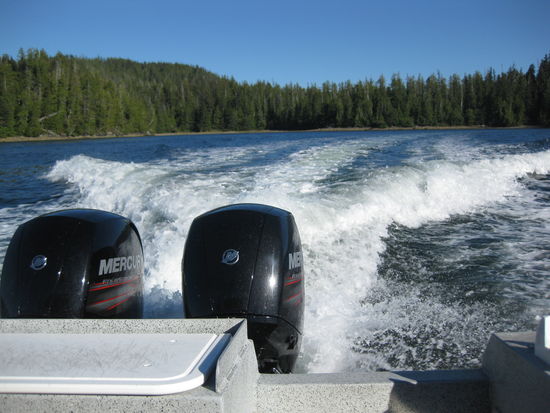 Mit 2x75 PS zum Bear watching