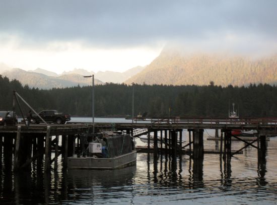Abends in Tofino