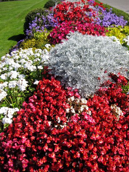 Blumen vor dem Fairmont Hotel