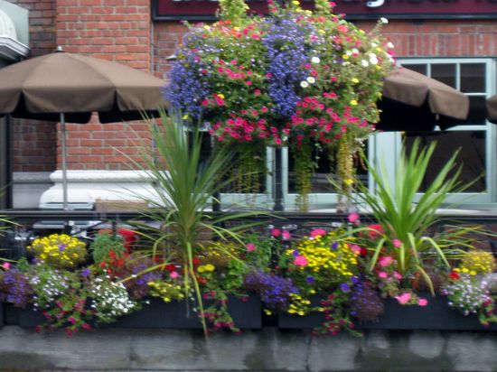 Prachtvoller Blumenschmuck