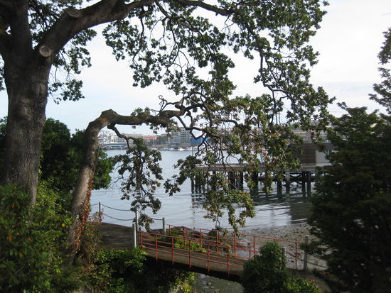 Am Scenic Marine Drive