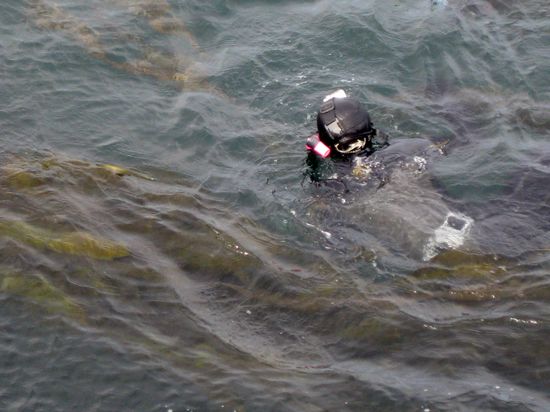 Taucher am Ogden Point