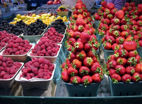 Beeren in Hülle und Fülle