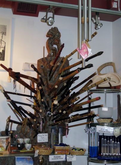 Aussergewöhnliches Musikinstrument