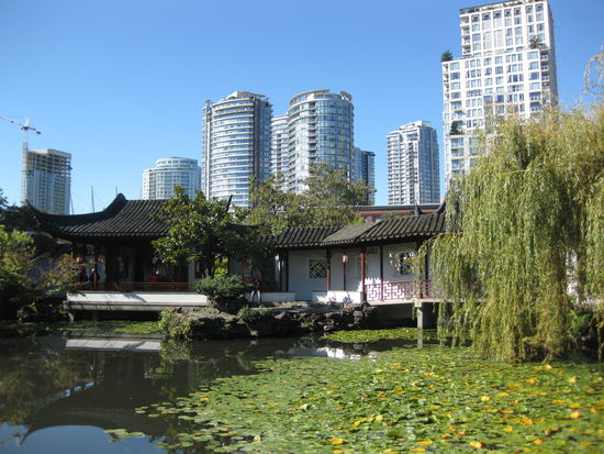 Die Skyline und der chinesche Garten - welch ein Kontrast