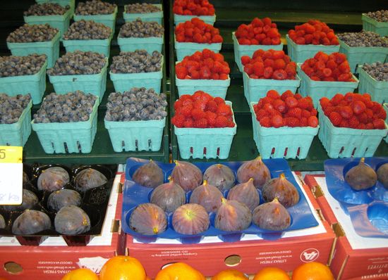 Beeren in allen Farben