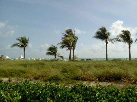 Windig in Miami Beach